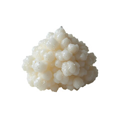 Kefir Grains: Starter Culture Close-Up isolated on transparent background