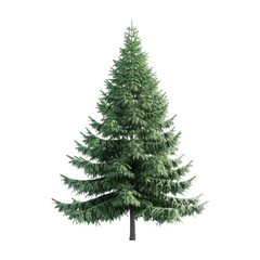 Green Christmas Tree on Transparent Background