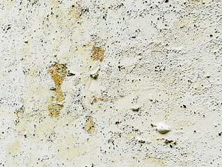 Close up of a worn, textured off-white wall with peeling paint and yellow stains.