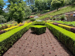 Symmetrical topiary garden. Rectangular and cubic shapes. Cube and rectangle shaped hedges made of green leaves, yellow flowers and purple flowers. Brown soil. Gramado, Brazil, Rio Grande do Sul 