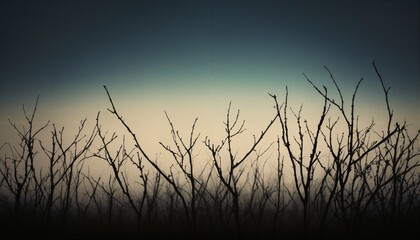 Obraz premium Bare Trees Against Fading Light