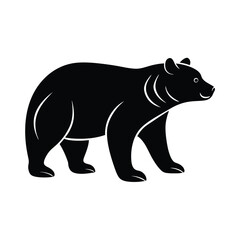 bear vector illustration