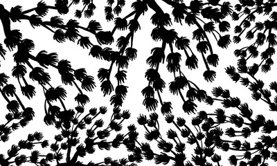 Abstract black plant texture, monochrome floral pattern white background.  vintage pattern style.