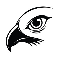 Sharp Hawk Eye Detailed Head Vector Illustrations