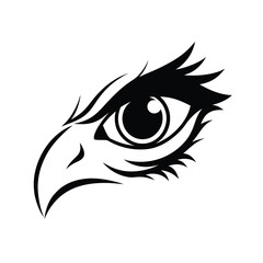 Fierce Hawk Gaze Detailed Head Vector Illustrations