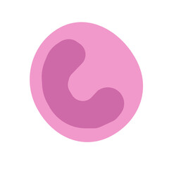 neutrophil band cell colored icon