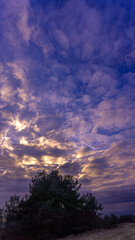 Fototapeta premium Wieczór