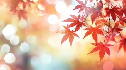 web banner design for autumn season and end year activity with red and yellow maple leaves with soft focus light and bokeh background