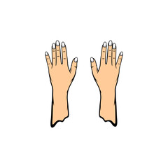 right and left hands with long nails looking up vector illustration