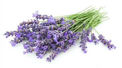 Fototapeta premium A fragrant bouquet of lavender blossoms, perfect for relaxation and aromatherapy.