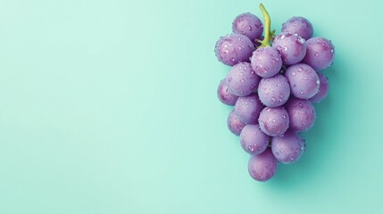 A bunch of glistening purple grapes on a pastel blue background.