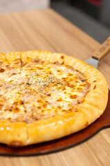 Pizza Tuna Cheese Melt