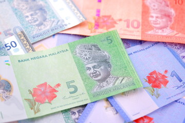 マレーシアの通貨、リンギット（MYR）の紙幣	
