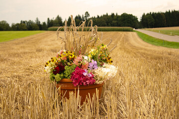Erntedank Blumen auf dem Feld nach der Ernte	