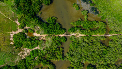 Aerial View of Lush Green Mangroves and Waterways in Rincon del Mar, Sucre, Colombia