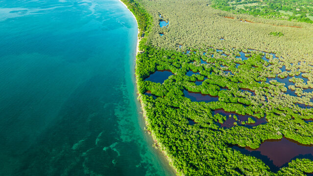 Aerial View of Lush Mangroves Meeting the Caribbean Sea in Rincon del Mar, Sucre, Colombia