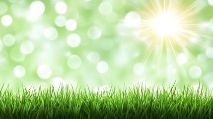 Obraz premium Bright sunshine illuminates green grass in a blurry background