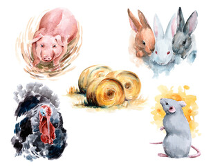 Farm, animals and objects, watercolor illustration