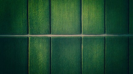 Naklejka premium Aerial view green fields for agriculture farm use