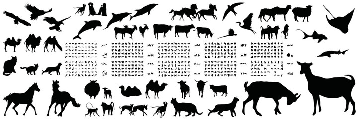 Fototapeta premium animal silhouette collection vector set wildlife isolated