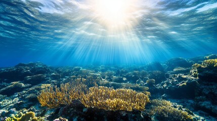 Naklejka premium Vibrant Coral Reef Seabed in Clear Waters 