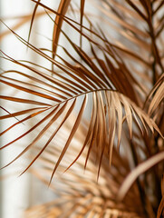 A delicate composition of dried palm leaves against a neutral background. Warm tones and intricate shadows create a harmonious, organic aesthetic, highlighting the elegance of natures patterns.