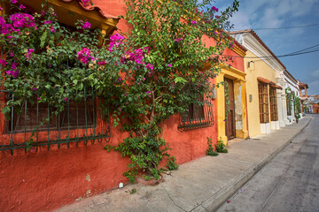 Naklejka premium The streets of Cartagena burst with vibrant colors, colonial charm, and Caribbean vibes that make your heart dance. Colombia not Columbia.