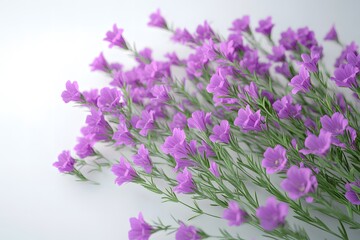 Photorealistic Wildflower Captured in Stunning Detail AI Art