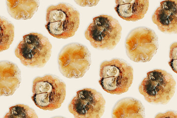 Minimal style nautical pattern with Anomia shells, creative Summer still life beige monochrome background with natural yellow golden seashells, marine life nature design, repeat graphic pattern