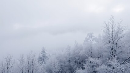 Winter Landscape with Foggy Trees and Snowy Mountains