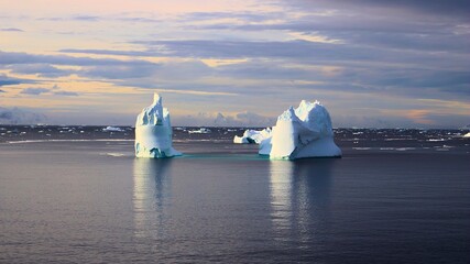 icebergs in the ocean