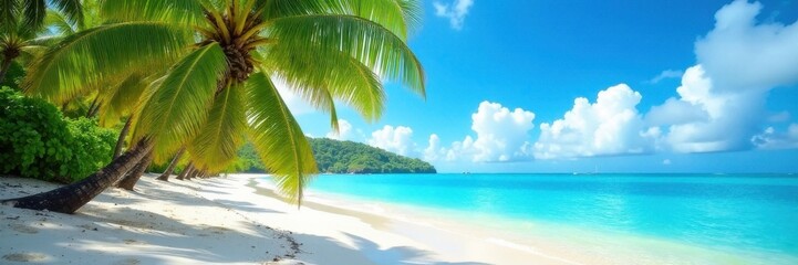 Fototapeta premium Tropical beach with palm trees swaying in ocean breeze , sea, palm tree