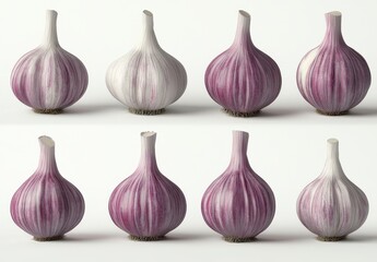Decorative Garlic Bulbs Collection