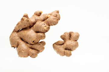 Zingiber officinale - Ginger root with healing properties