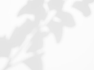 植物の影 背景 / Plant Shadow Background – ナチュラル・グリーンデザイン