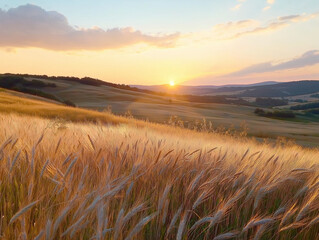 Coastal Field of Swaying Silvergrass Under the Ocean Breeze