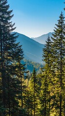 Majestic Mountain View Through a Forest of Pine Trees