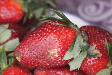 A close-up of fresh strawberries with green leaves