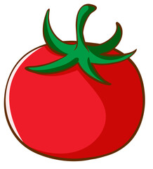 Vector illustration of a red tomato isolated on white , Tomato vector. Tomato on white background. Tomato vector in cartoon style