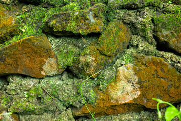 Natural stone walls that have grown moss