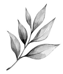 Elegant black and white watercolor illustration of leaves on a stem showcasing natural beauty and artistic creativity