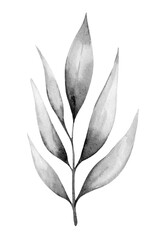 Leafy botanical illustration showcasing elegant lines and soft textures in monochrome tones