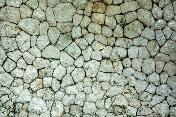 a white stone wall to serve as a backdrop