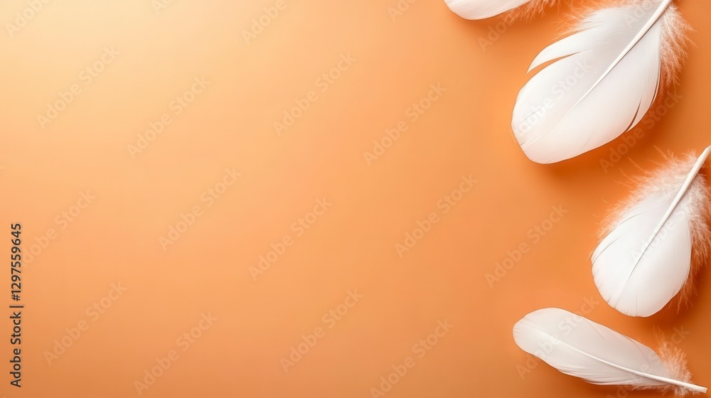 Poster white feathers arranged on a tan background, creating a minimalist and serene image. the feathers ar