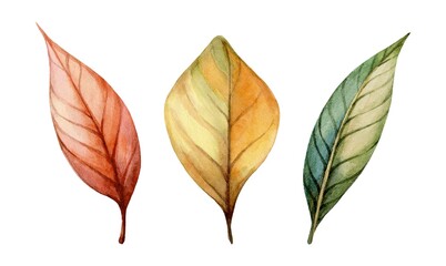 Obraz premium Exquisite watercolor leaves in autumn colors showcasing the beauty of nature and seasonal change