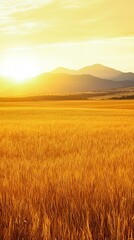 Golden Wheat Field at Sunset with Mountain Range
