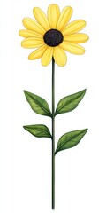 Fototapeta premium Single yellow flower with dark brown center and green leaves on a white background. The image features a single stem and minimal detail. Simple