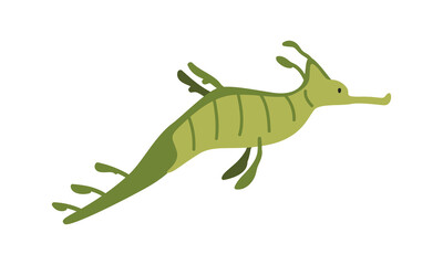 Common seadragon cartoon clipart. Cute common seadragon (Phyllopteryx taeniolatus) vector illustration. Animal in flat style. Sea animals concept isolated on white background