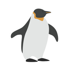 Penguin cartoon clipart. Cute Emperor penguin or king penguin (Aptenodytes forsteri) vector illustration. Animal in flat style. Sea animals concept isolated on white background