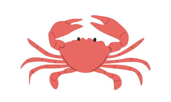 Crab cartoon clipart. Cute red crab vector illustration. Animal in flat style. Sea animals concept isolated on white background